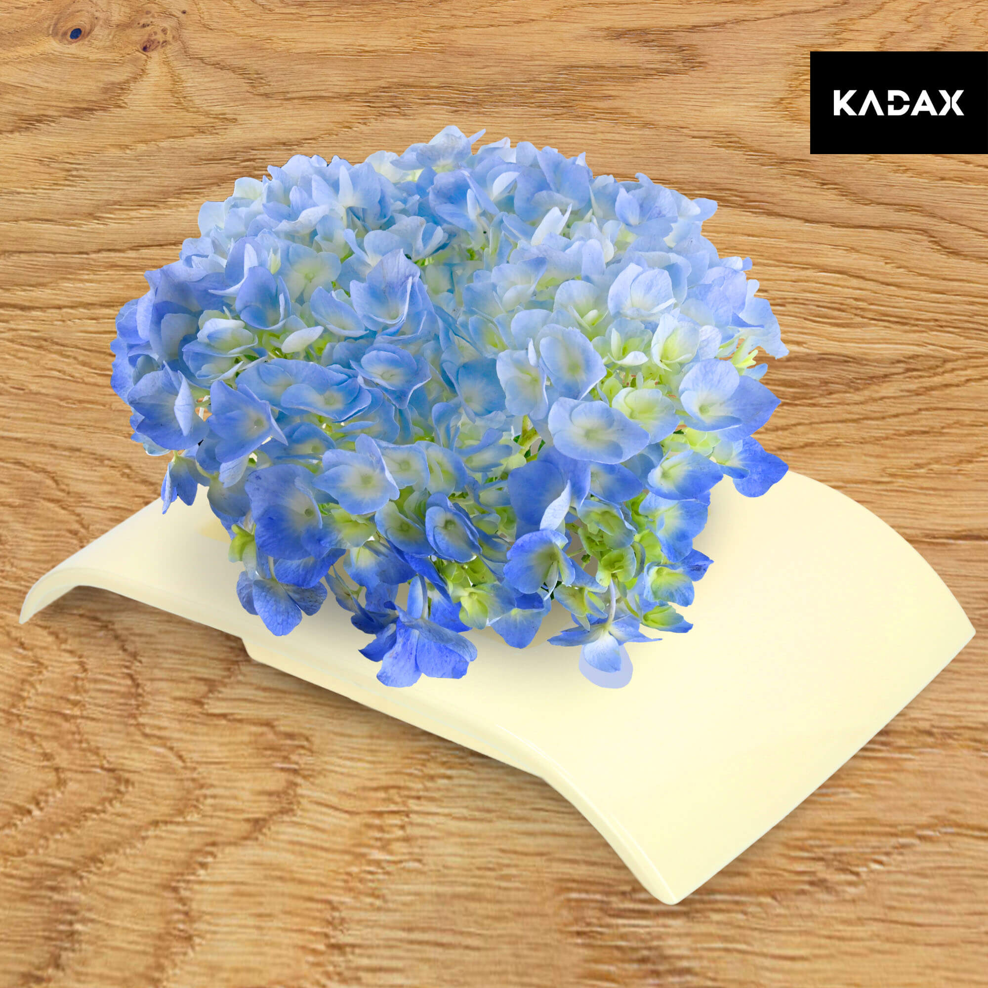 Ikebana na kwiaty prostokątna 4 x 24 cm, kremowa