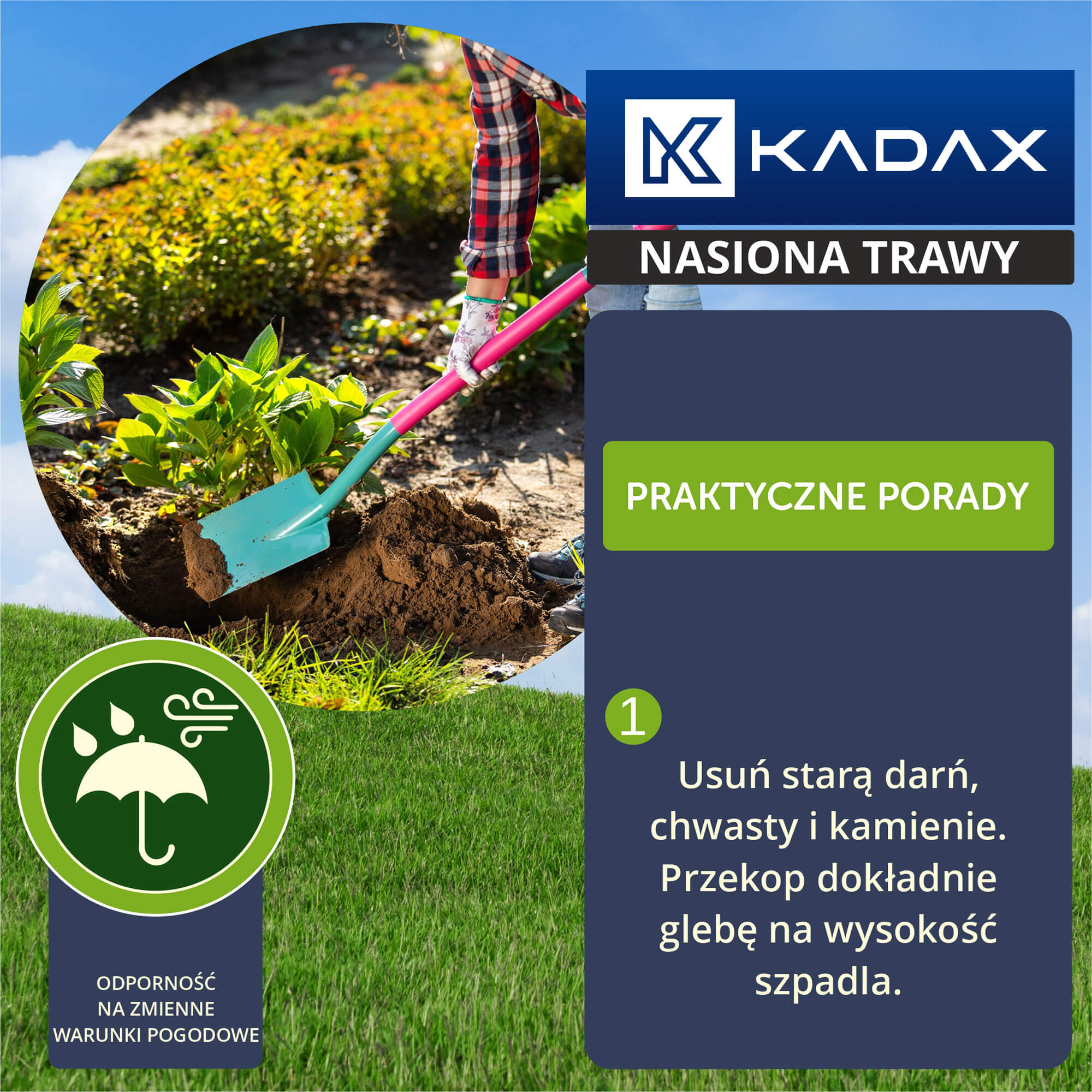 Trawa uniwersalna 3 kg