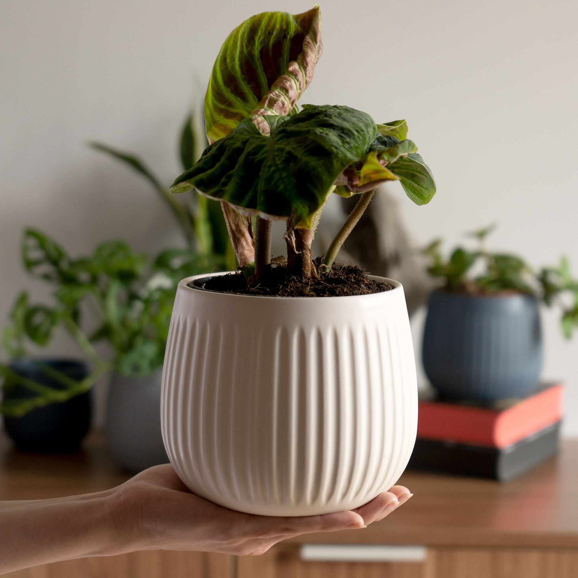 Osłonka ceramiczna Vario 14 cm, biała