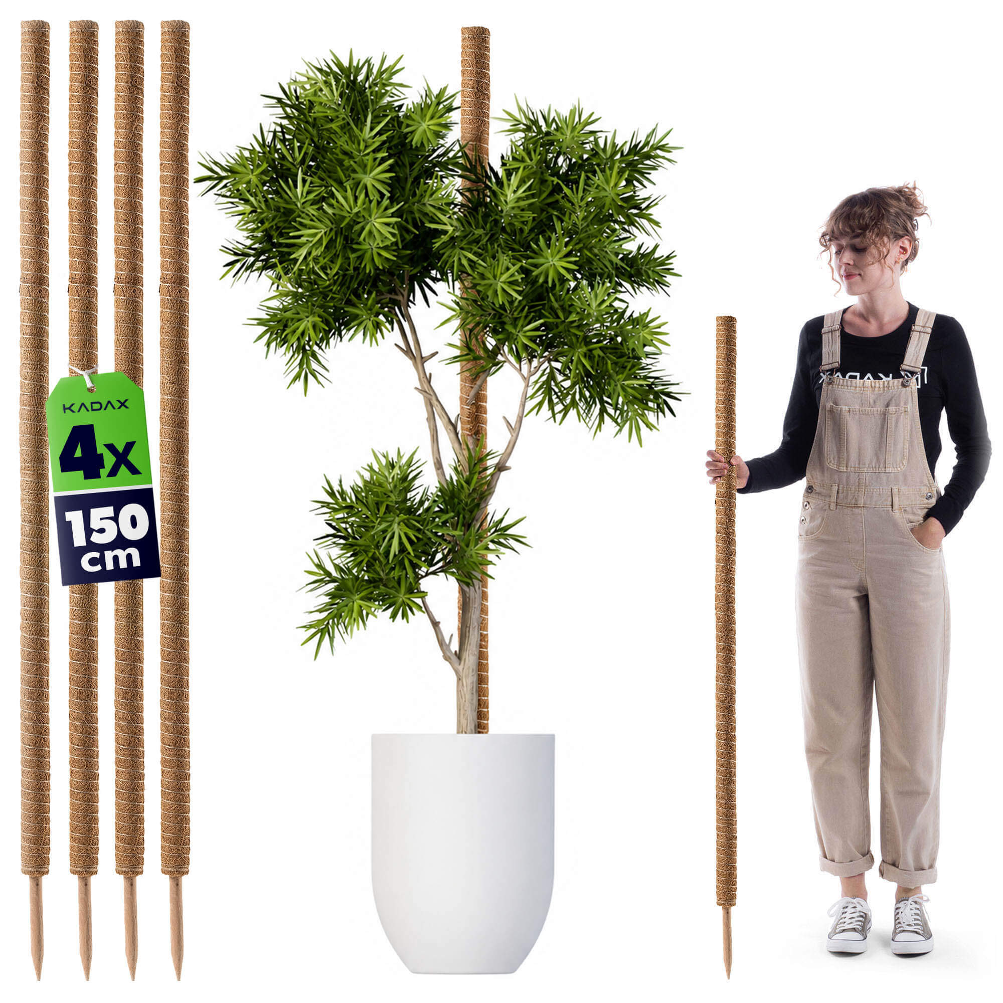 Tyczka do roślin kokosowa Cande 150 cm podpora doniczkowa 4 szt.