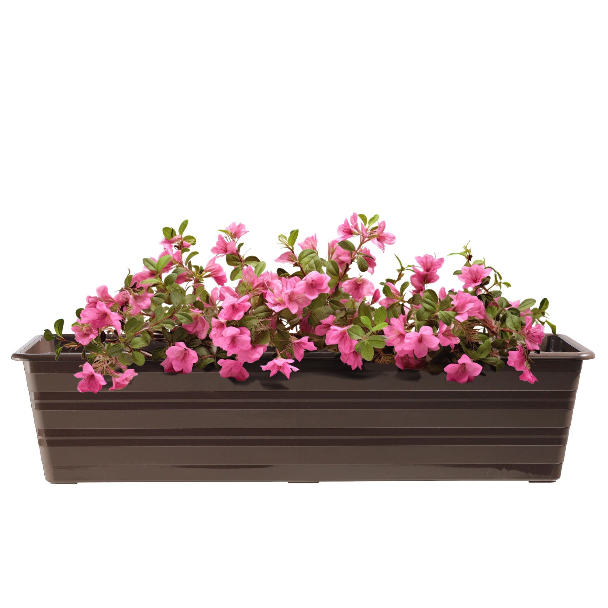 Doniczka balkonowa Catí 60cm brązowa 6szt