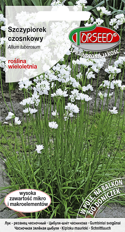 Szczypiorek czosnkowy Allium tuberosum 1g
