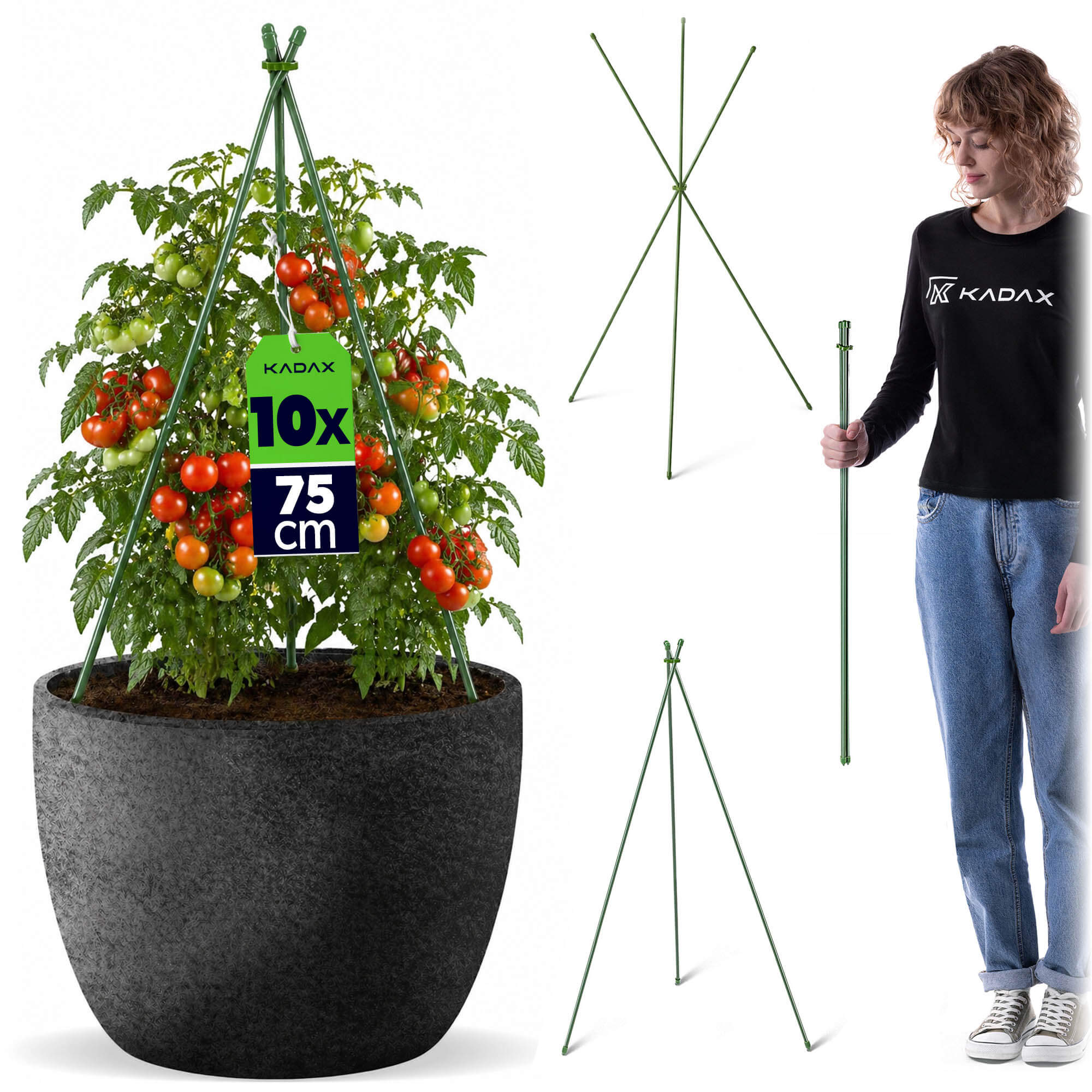 Stożkowa podpora ogrodowa Chevre 3-elementowa 75 cm 10 szt.