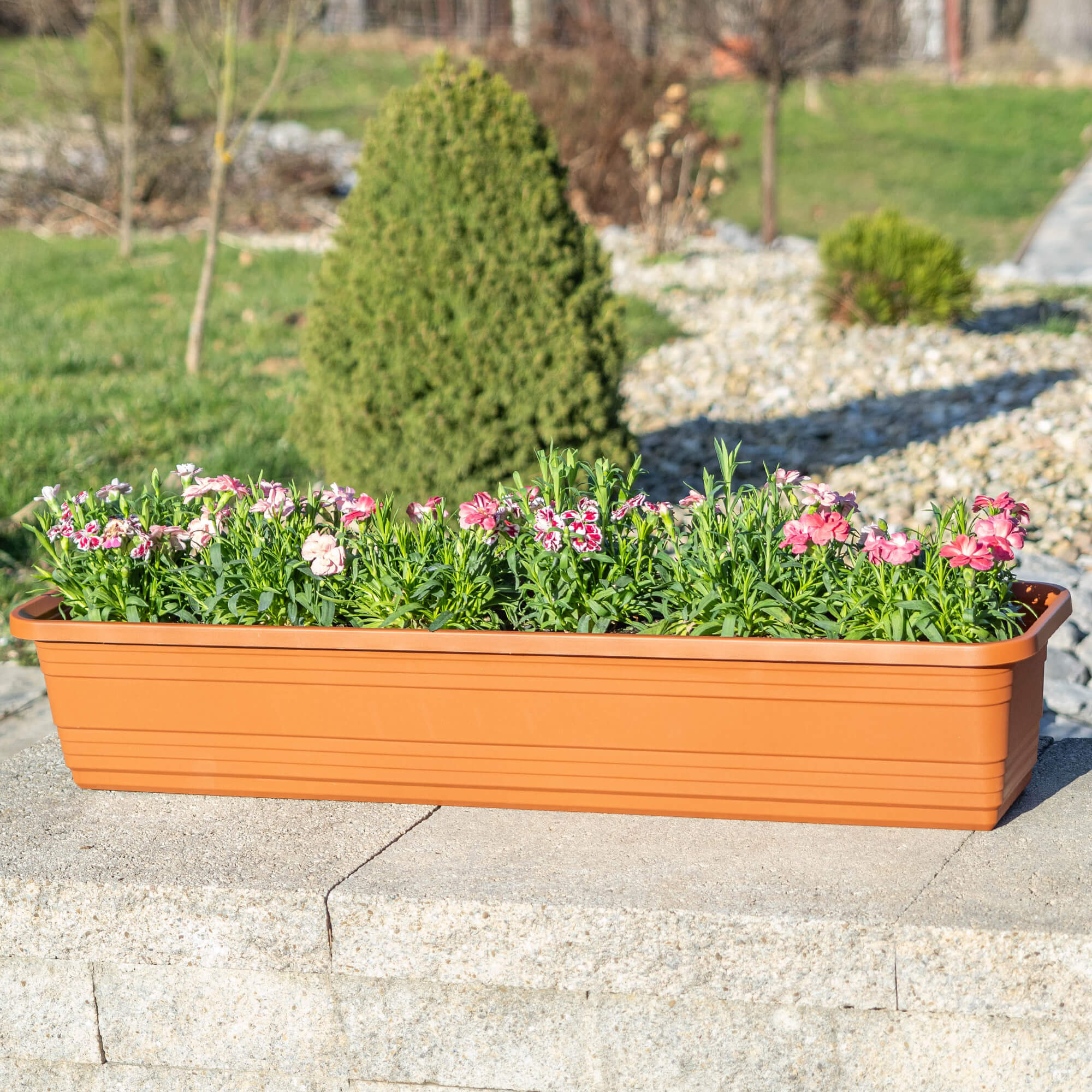 Skrzynka balkonowa Paulin 80cm terrakota