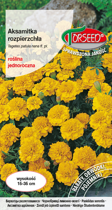 Aksamitka rozpierzchła (niska) - Tagetes patula nana fl.pl. żółta 1g
