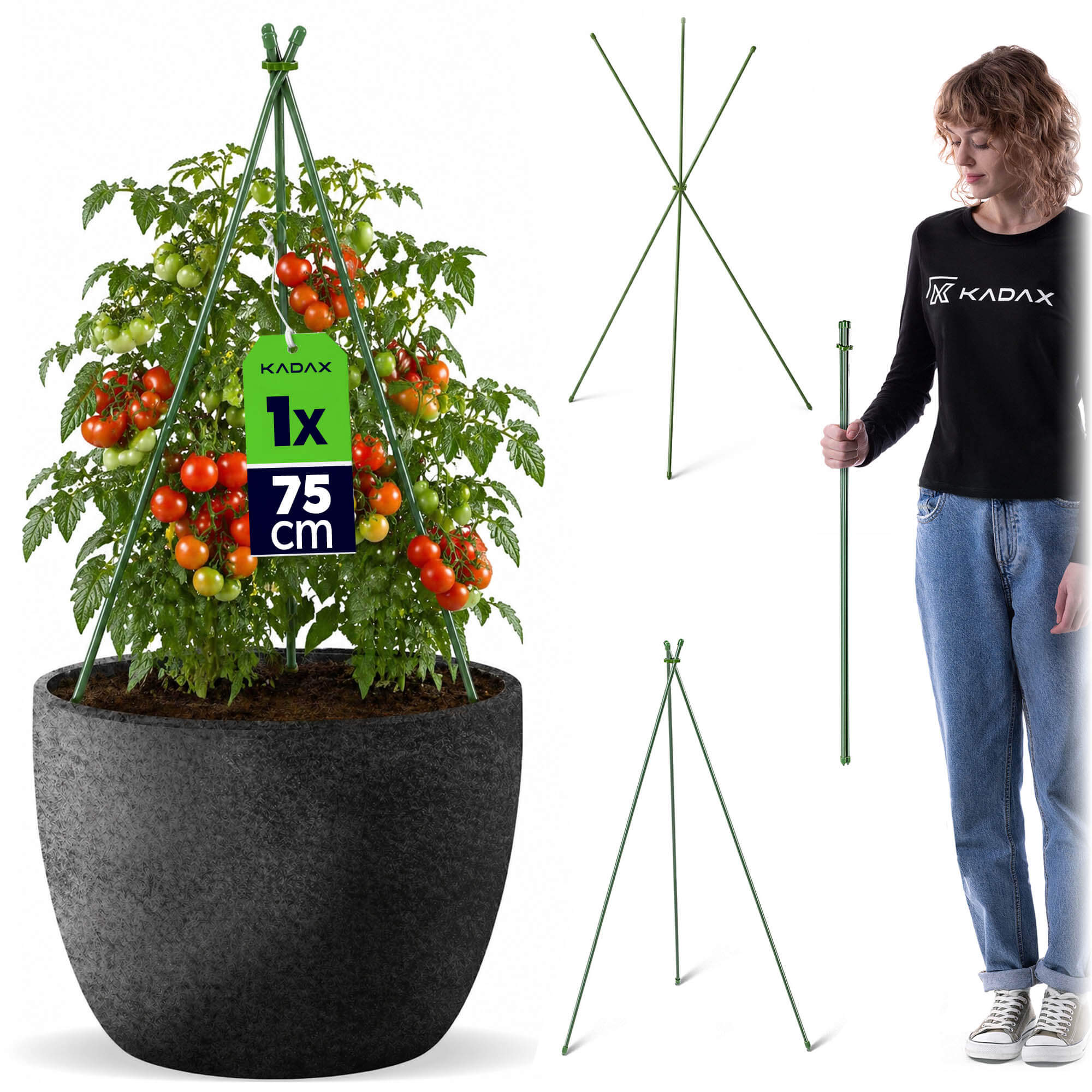 Stożkowa podpora ogrodowa Chevre 3-elementowa 75 cm 1 szt.