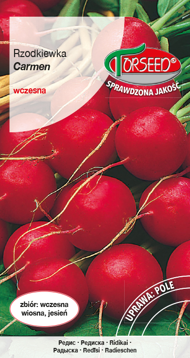 Rzodkiewka (do uprawy w polu) Carmen 10g