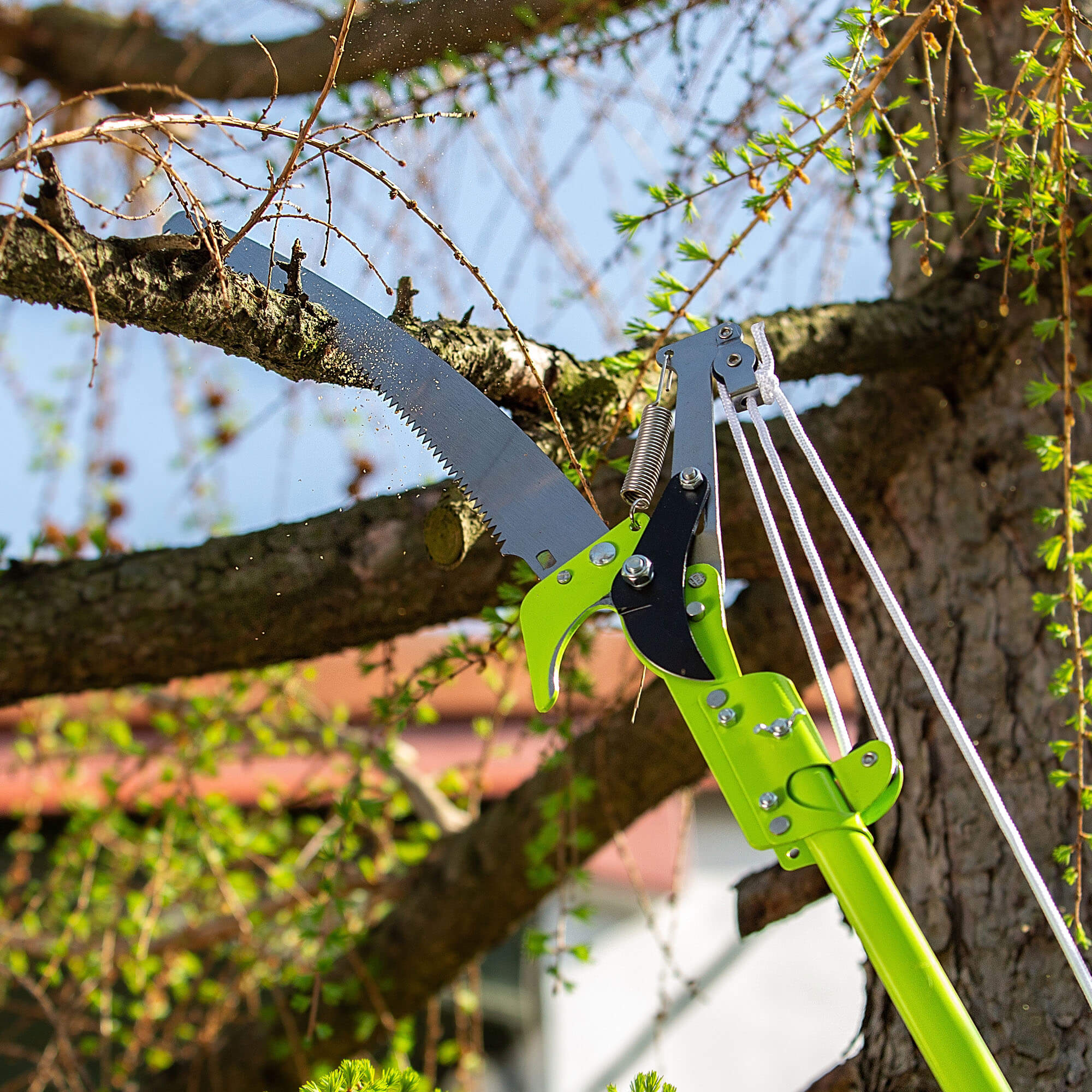 Sekator teleskopowy do drzew Heden 287 cm stalowy
