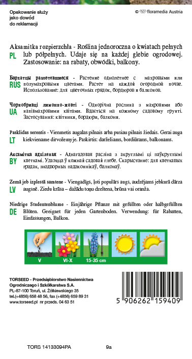 Aksamitka rozpierzchła (niska) - Tagetes patula nana fl.pl. pomarańczowa 1g
