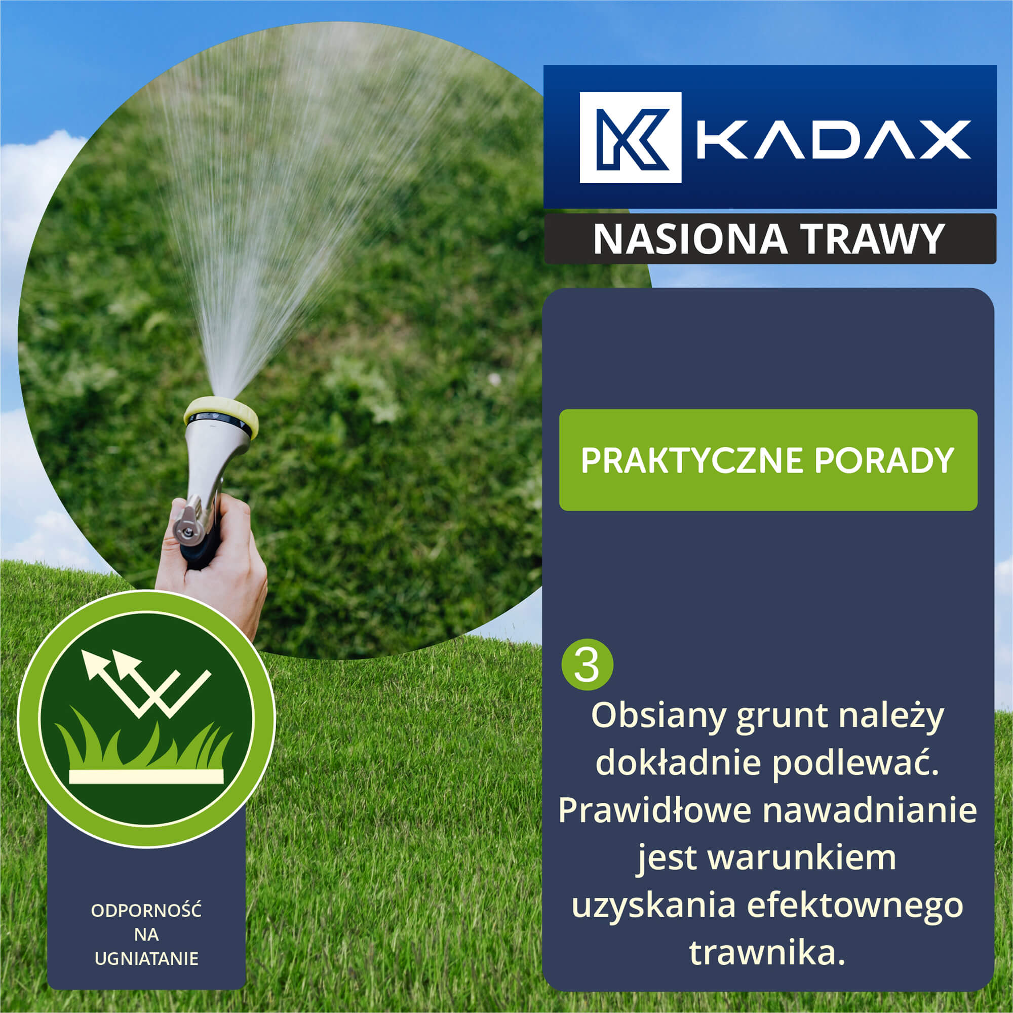 Trawa uniwersalna 3 kg
