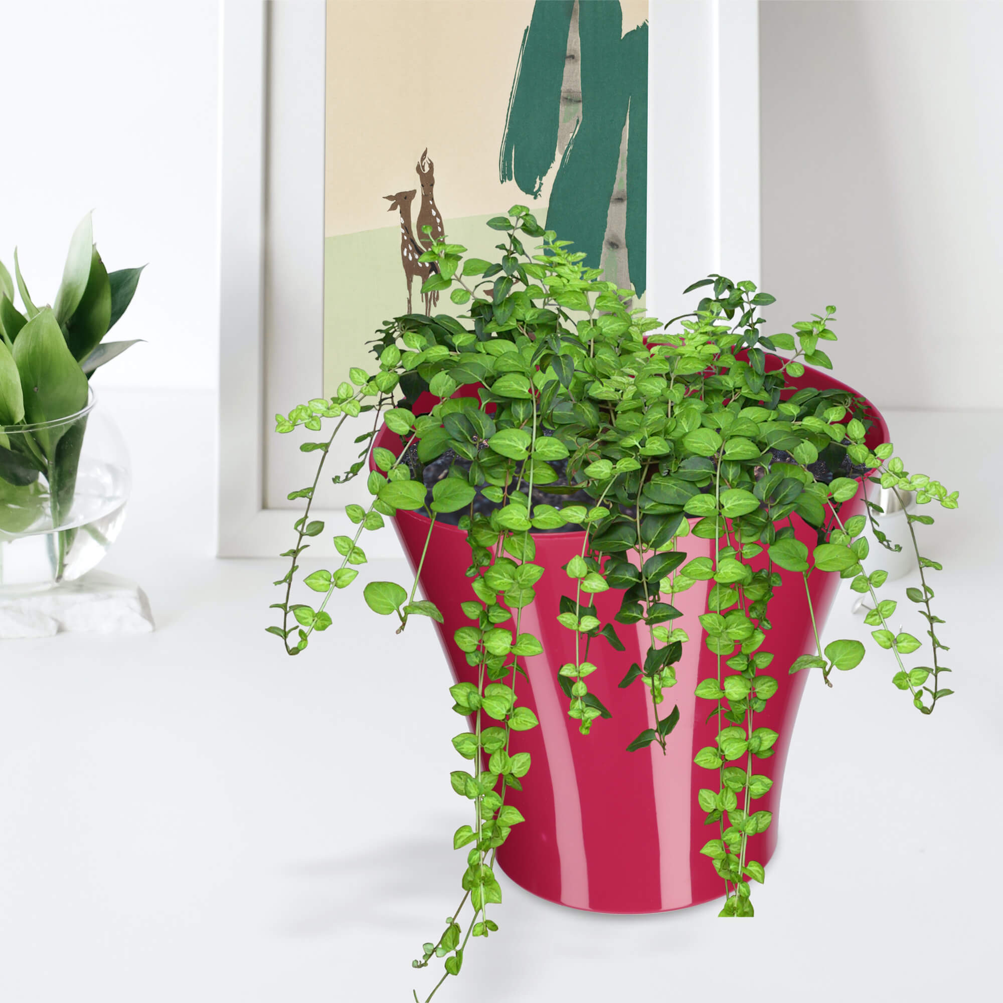 Doniczka na kwiaty Meria 16 cm, amarant