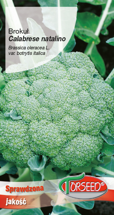 Brokuł włoski Calabrese natalino 2g