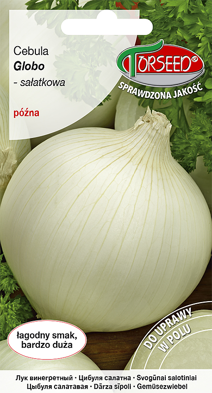 Cebula Globo - sałatkowa 1g