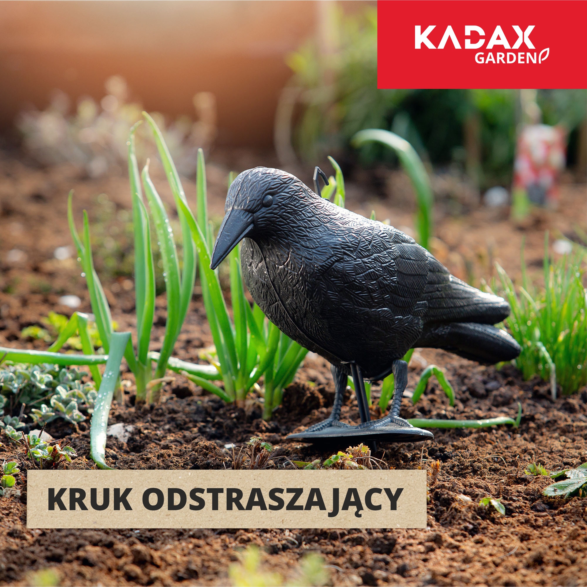 Czarny kruk, odstraszacz na gołębie 2 szt.