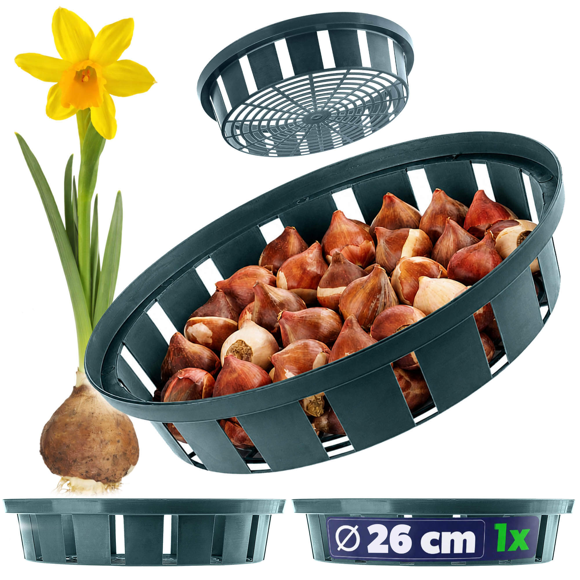 Koszyk do cebulek Julis 26 cm, zielony