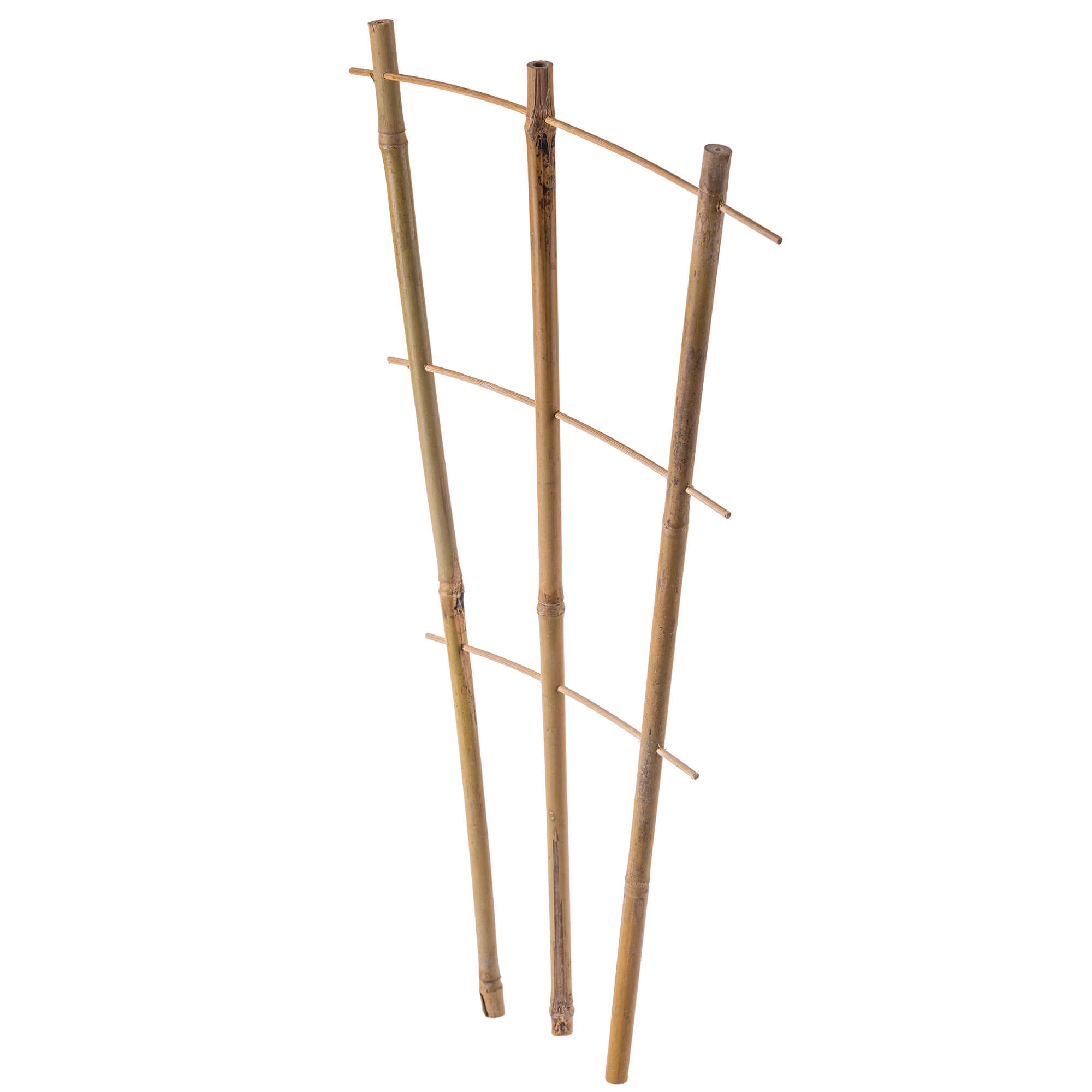 Drabinka bambusowa 45 cm 1 szt.