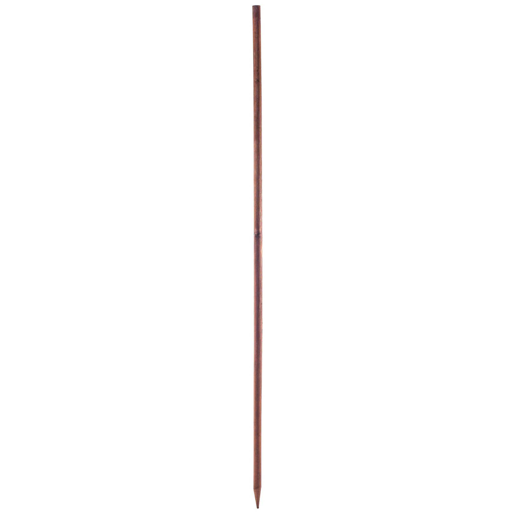 Podpora do roślin drewniana Tarup palik 28 mm x 180 cm 1 szt.