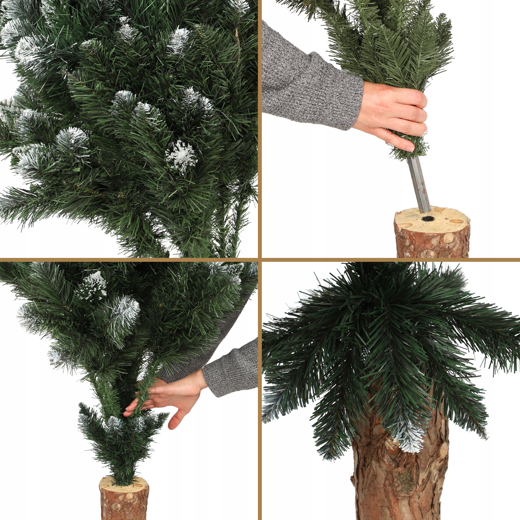 Choinka na pniu sosna diamentowa Roana 220 cm