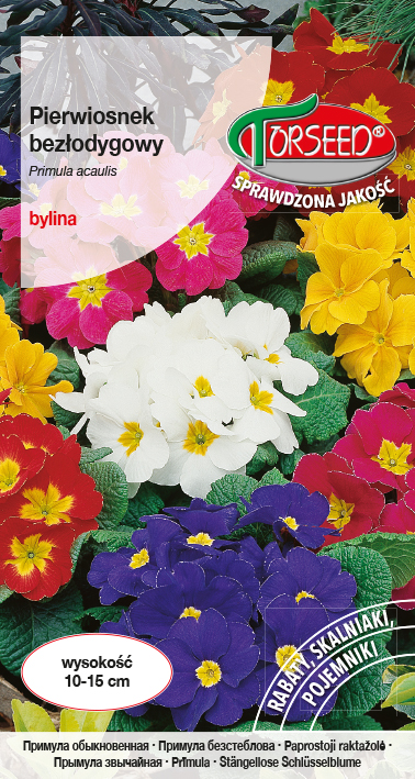 Pierwiosnek bezłodygowy - Primula acaulis mieszanka 0,1g