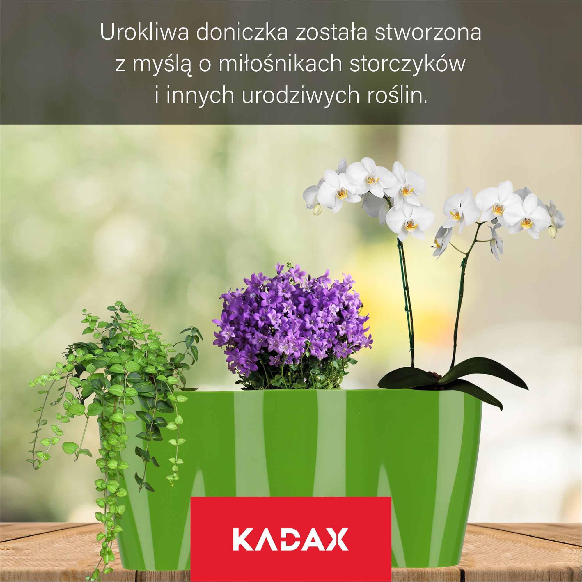 Doniczka do storczyków potrójna Fermo 35 x 15 cm, zielona