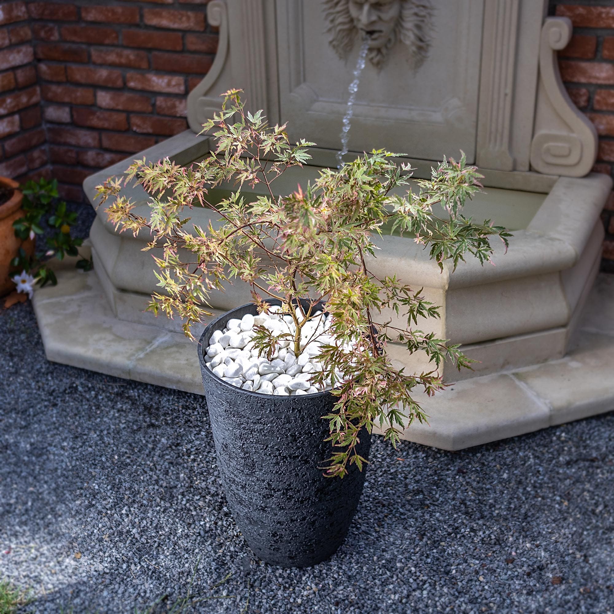 Donica Cloue 35 cm czarna