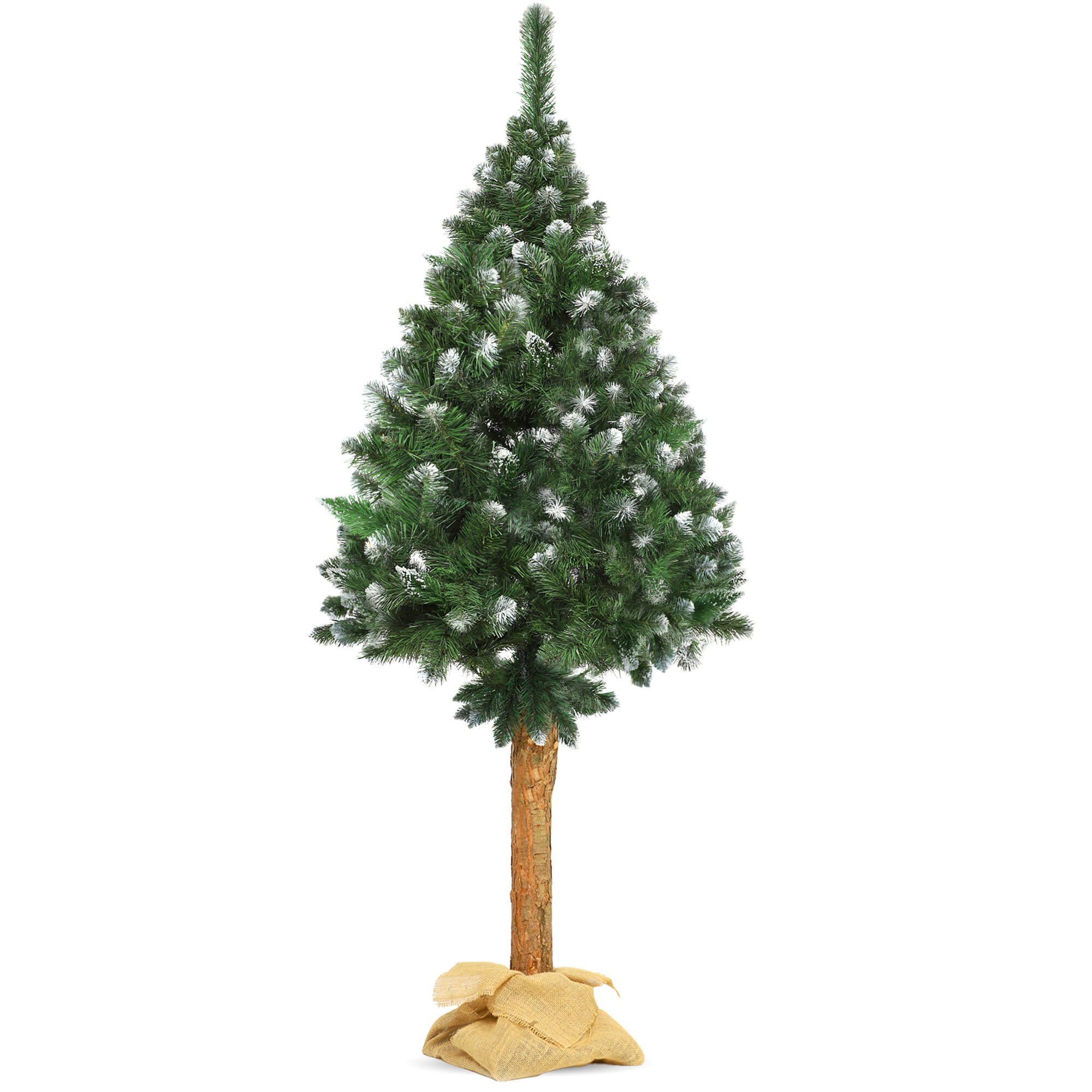 Choinka na pniu sosna diamentowa Roana 180 cm