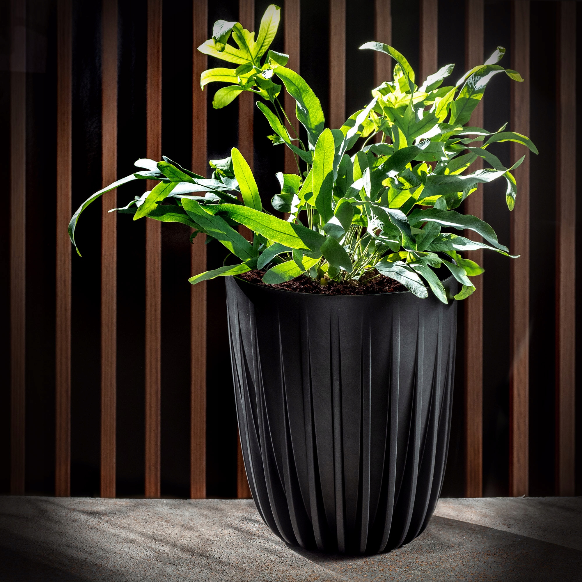 Eko doniczka z wkładem Costa 14 cm, czarna