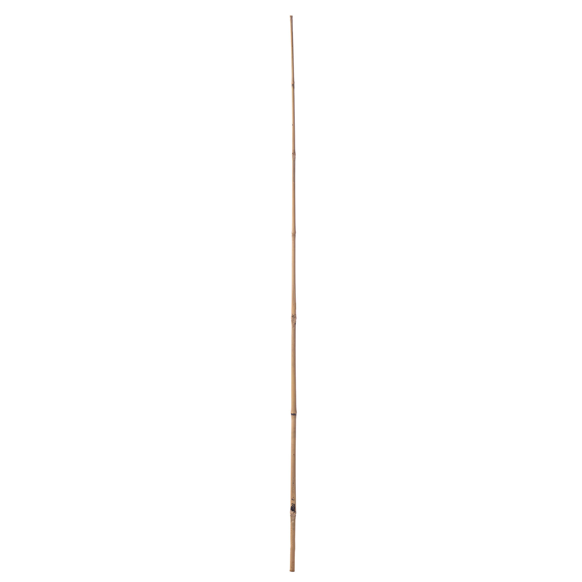 Bambusowa podpora ogrodowa Rai 120 cm x 10-12 mm 50 szt.