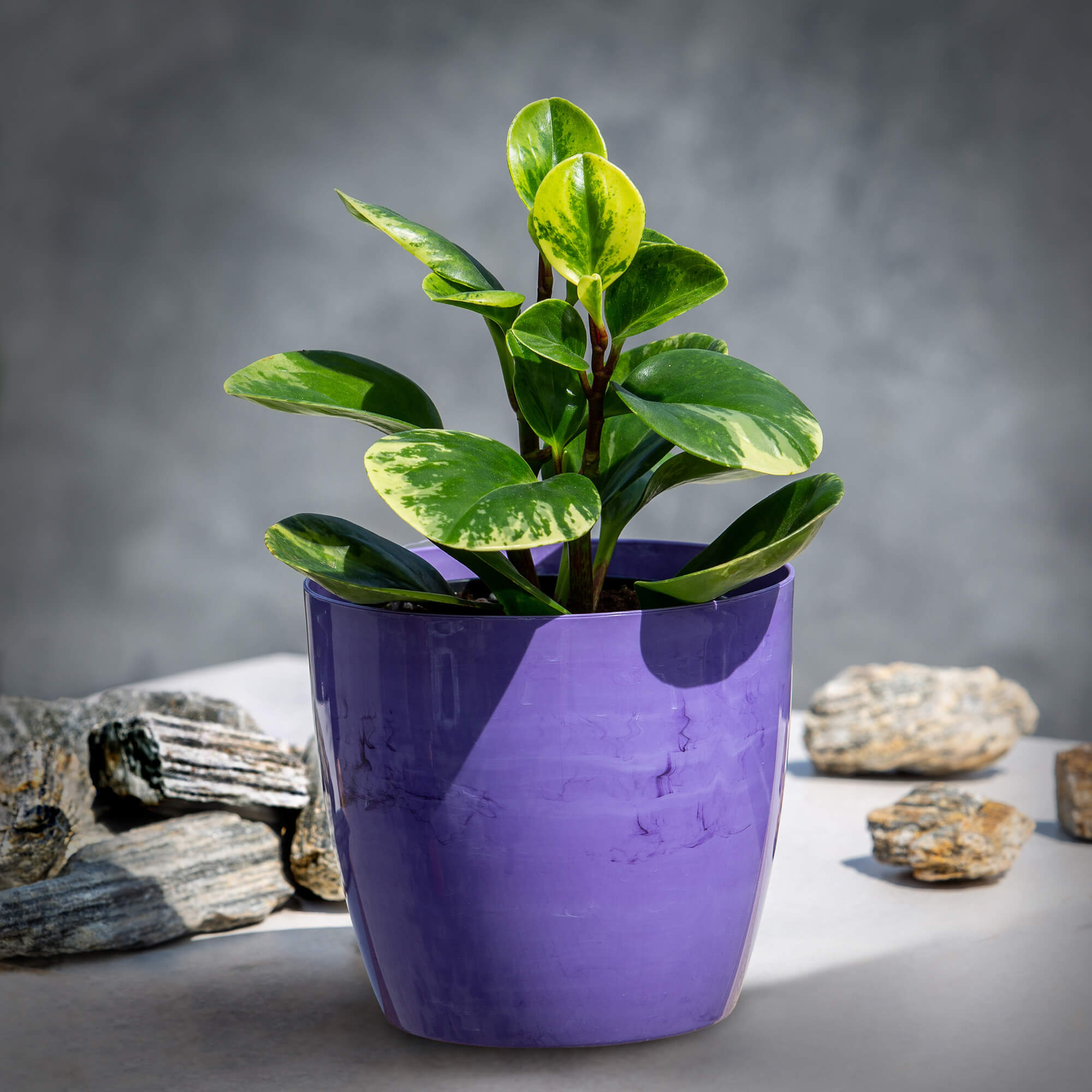 Doniczka na kwiaty Agen 14 cm, fioletowy marmur