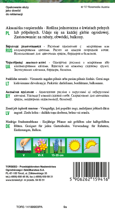 Aksamitka rozpierzchła (niska) - Tagetes patula nana fl.pl. żółta 1g