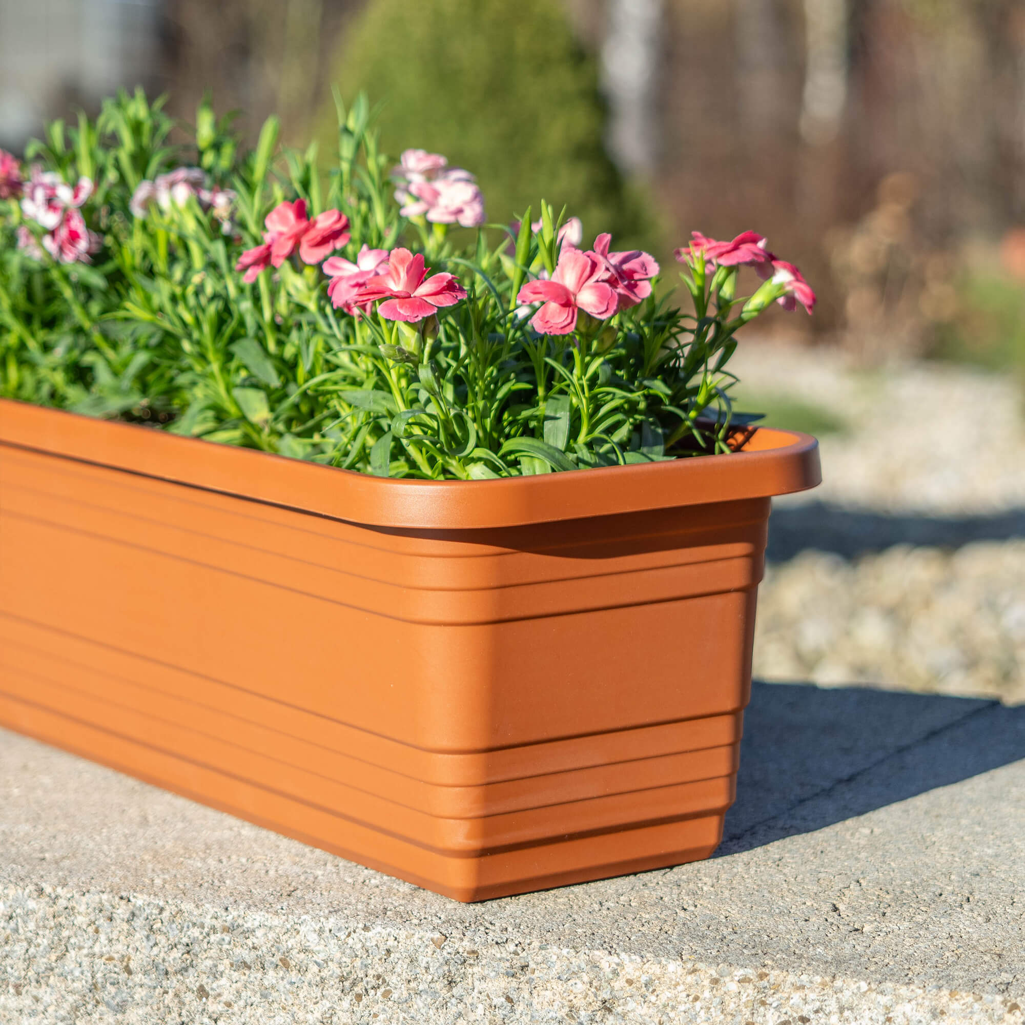 Skrzynka balkonowa Paulin 80cm terrakota