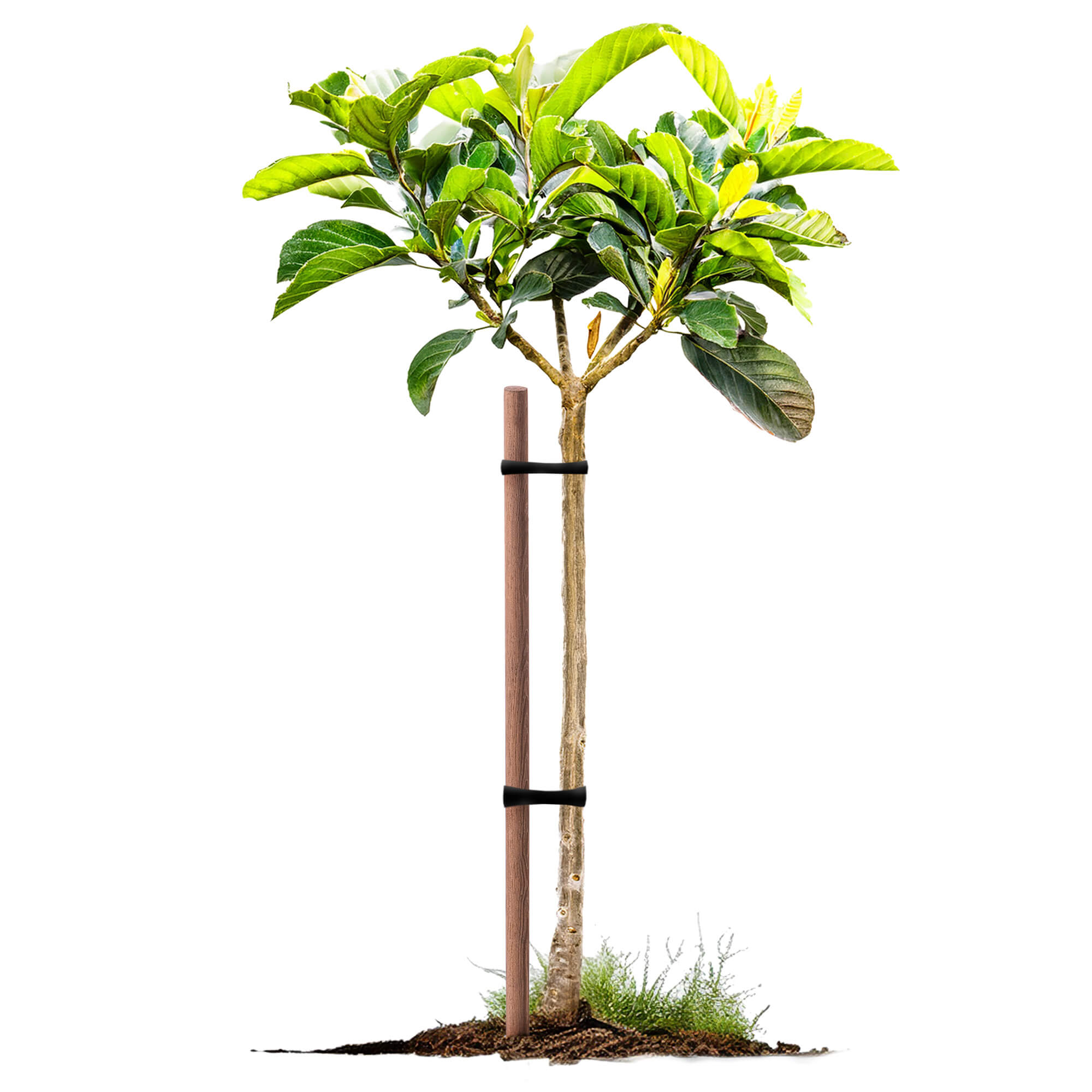 Podpora do roślin drewniana Utre palik impregnowany 23 mm x 80 cm 1 szt.