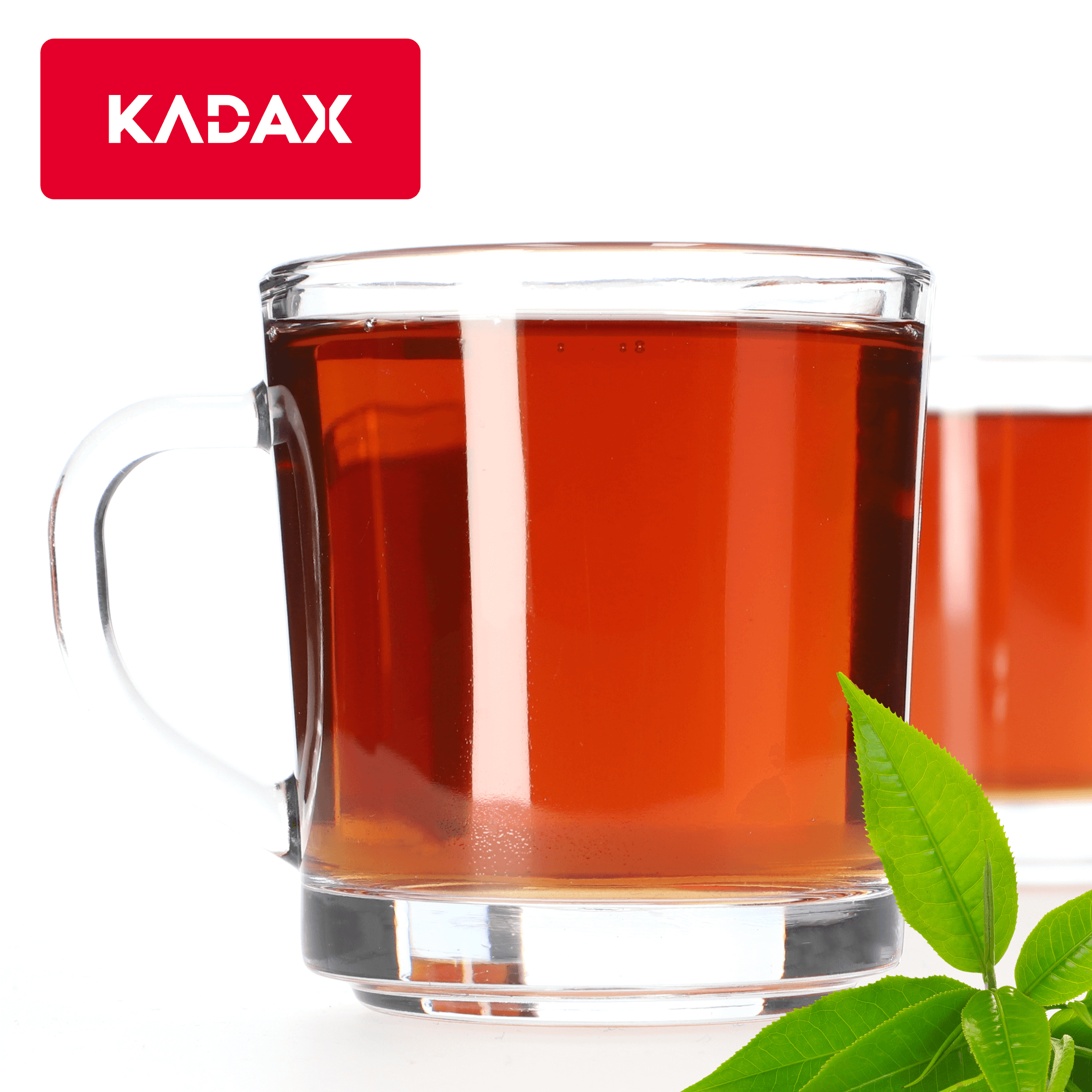 Kubki do herbaty Radal 250 ml, 6szt.