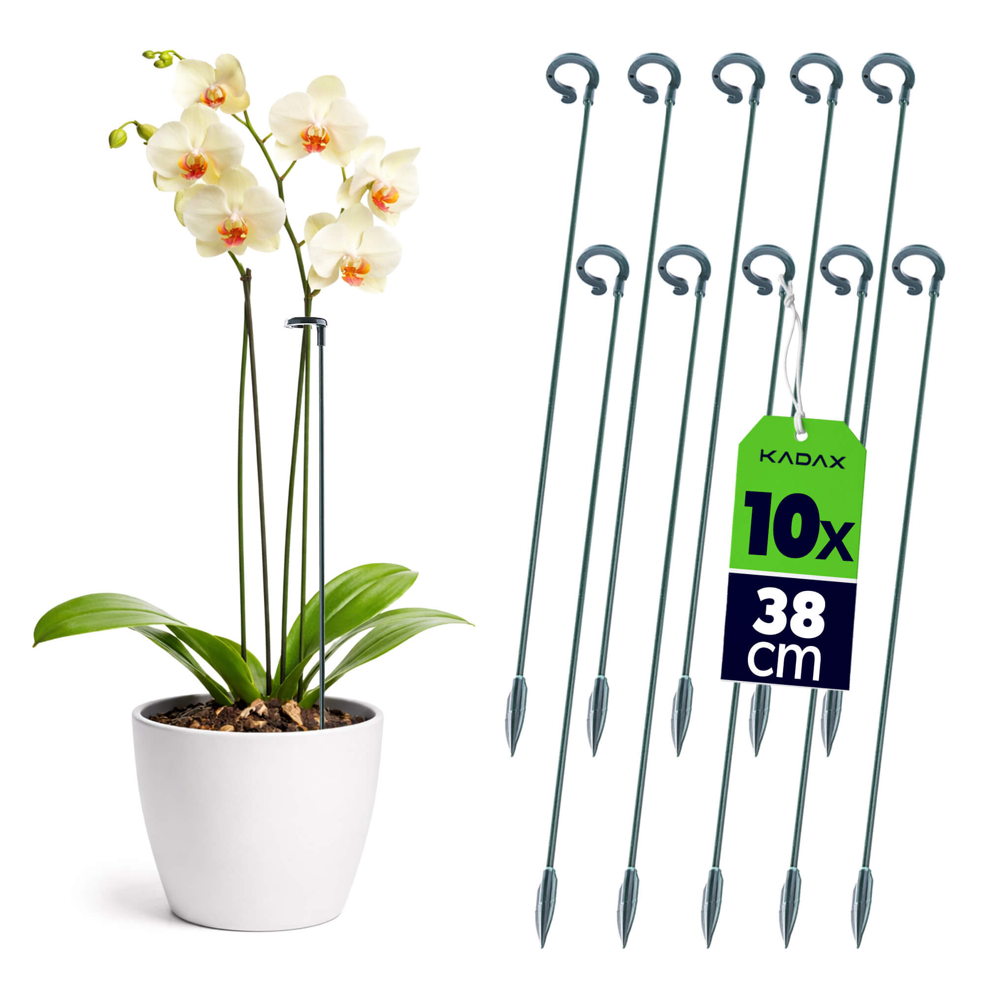 Podpora do roślin Condat 38 cm zielona 10 szt.