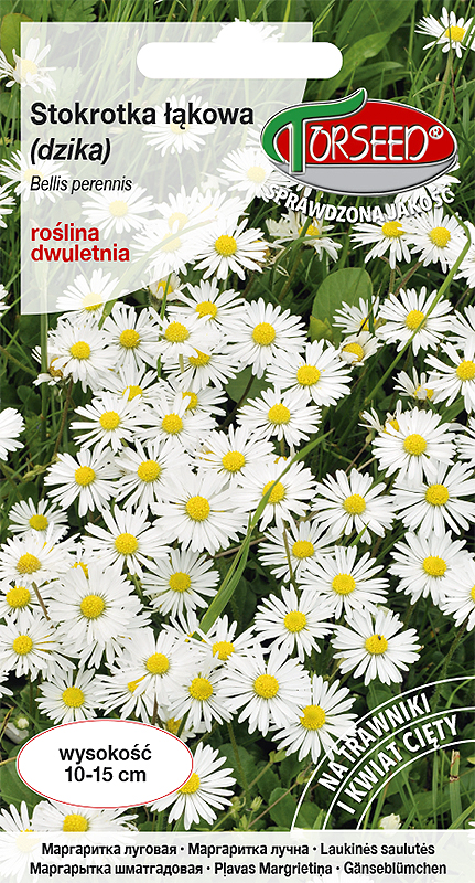 Stokrotka łąkowa - Bellis perennis biała 0,2g