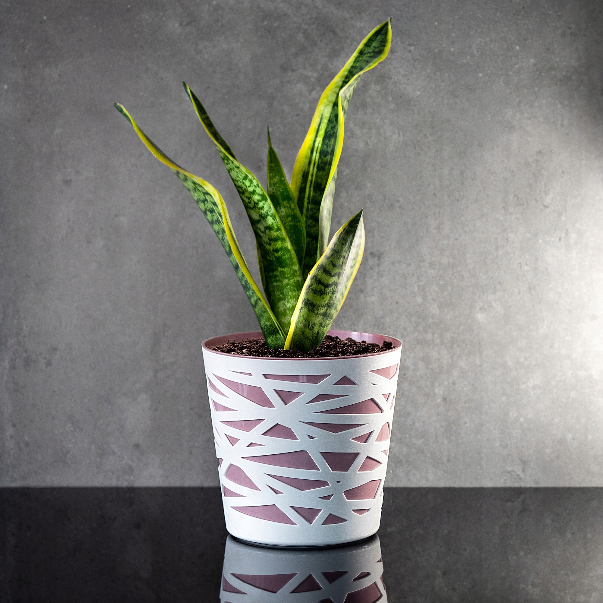 Doniczka z wkładem Rusio 17 cm, różowa