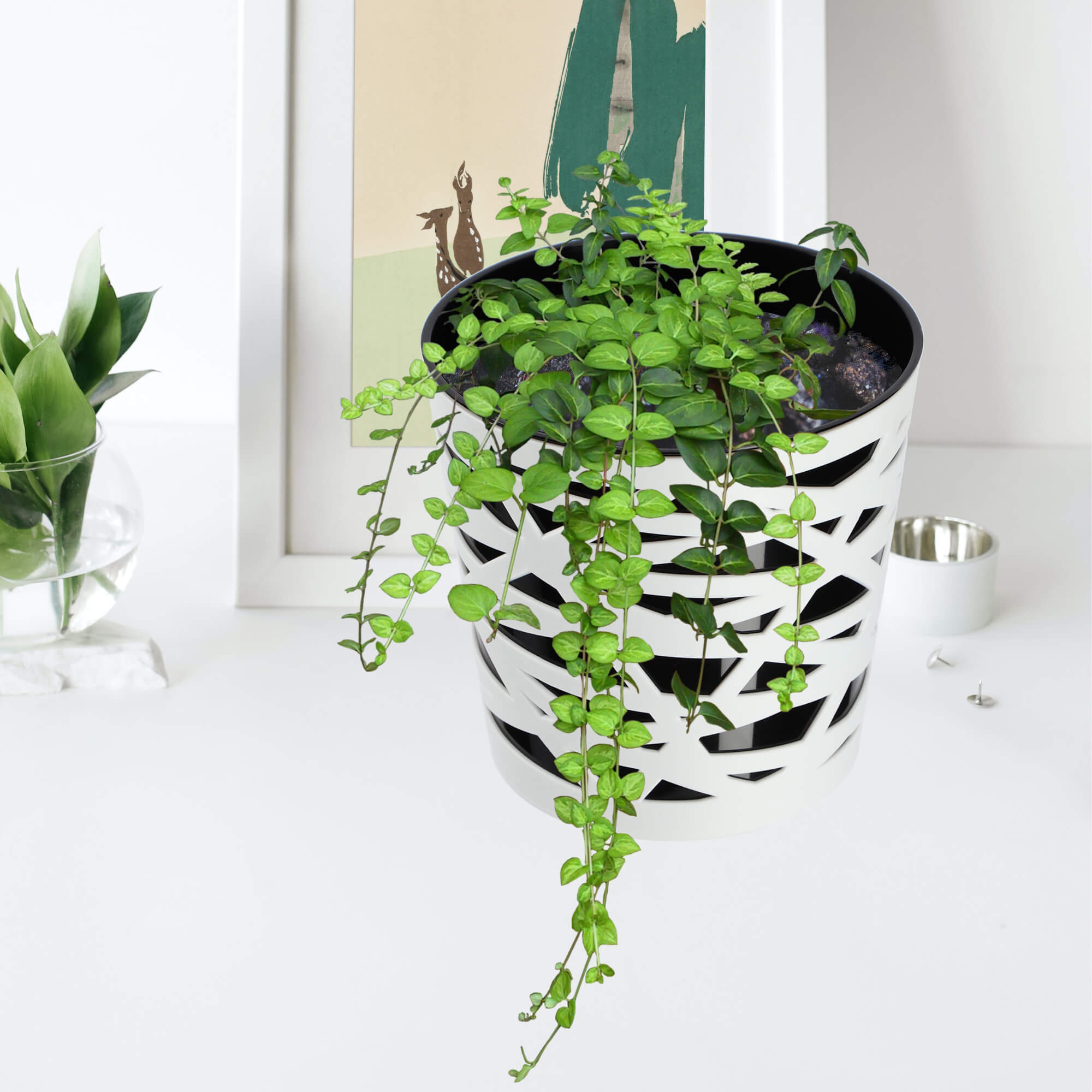 Doniczka z wkładem Rusio 17 cm, czarna
