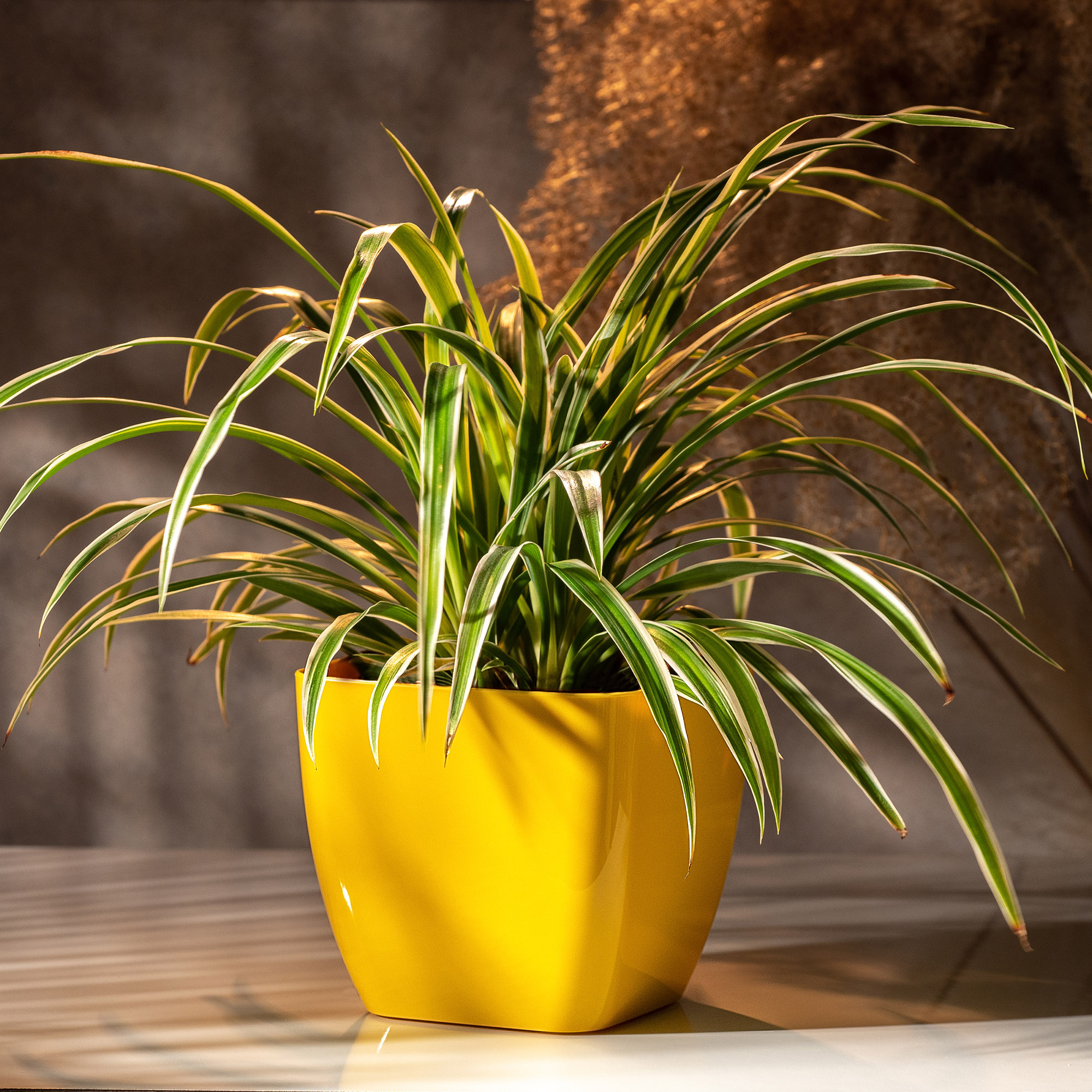 Doniczka kwadratowa Borgo 12 cm, żółta