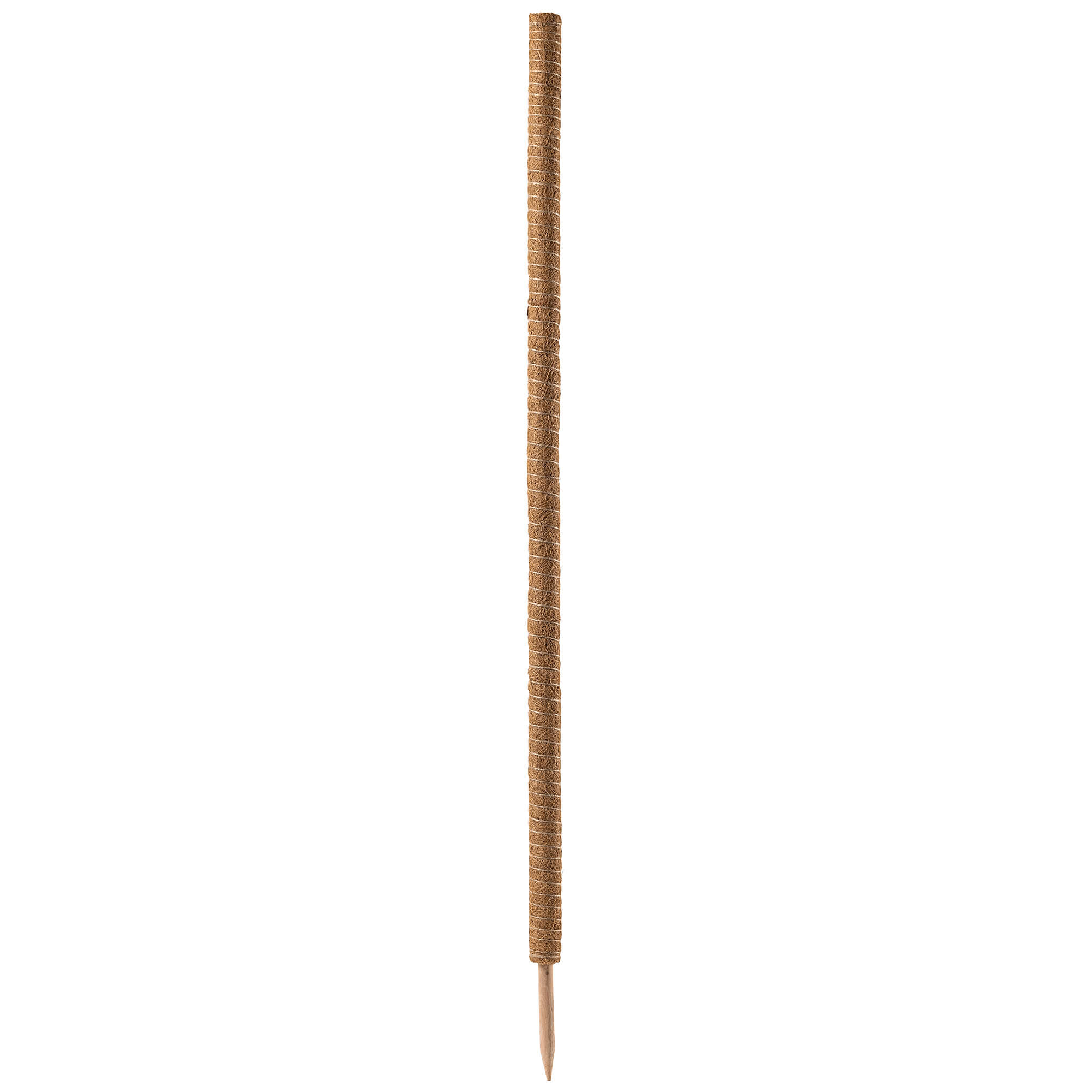Tyczka do roślin kokosowa Cande 150 cm podpora doniczkowa 4 szt.