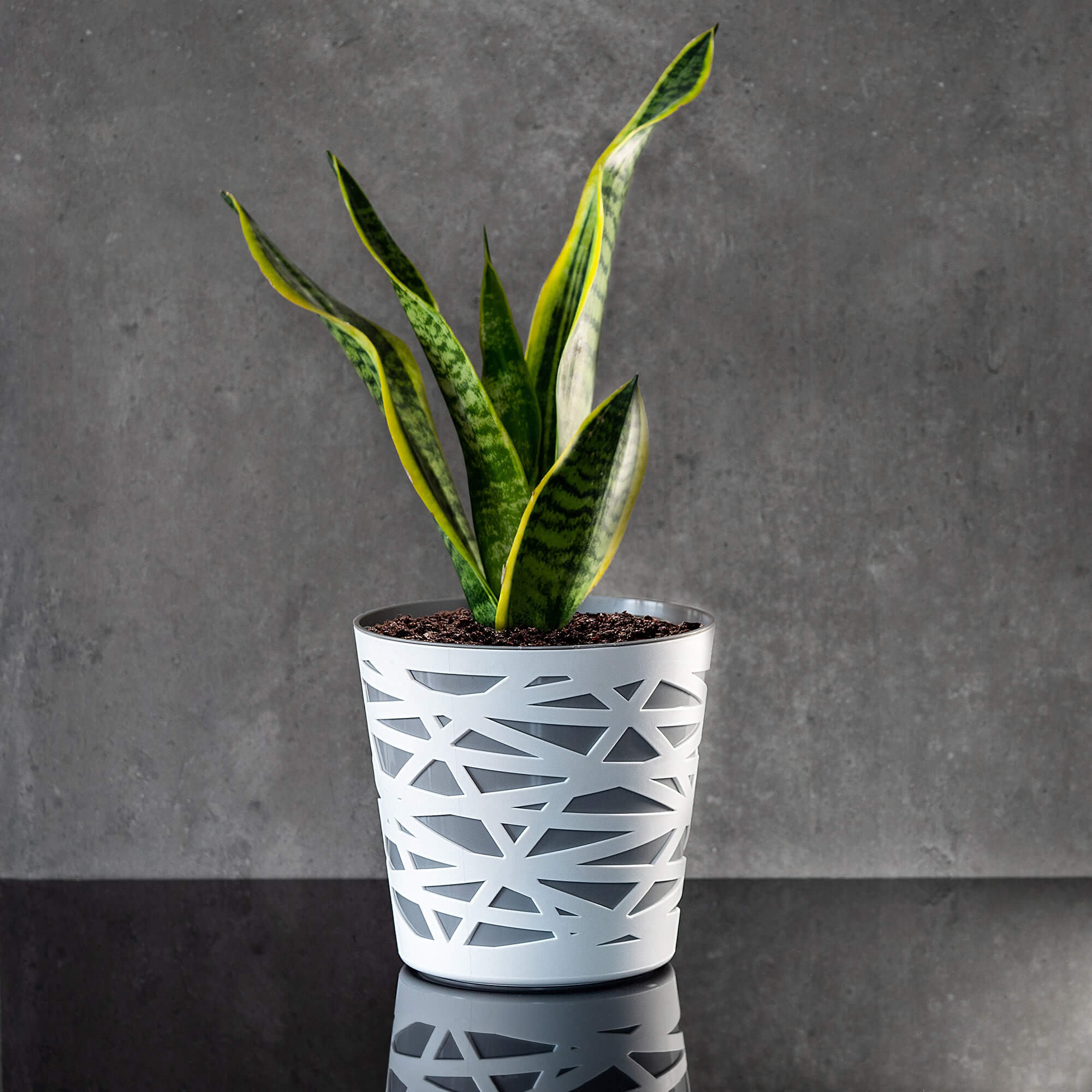Doniczka z wkładem Rusio 15 cm, szara