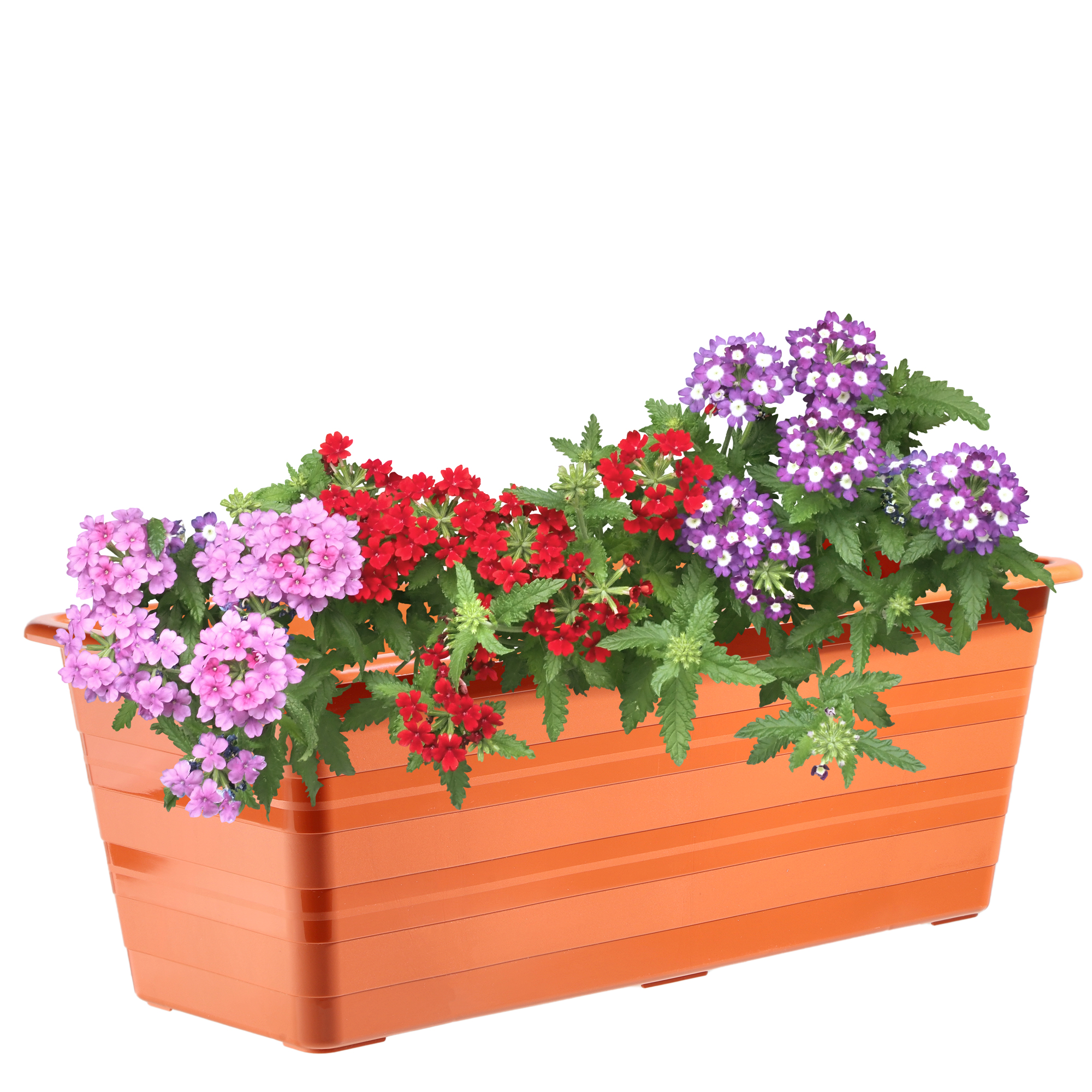Doniczka balkonowa Cati 40 cm, terrakota