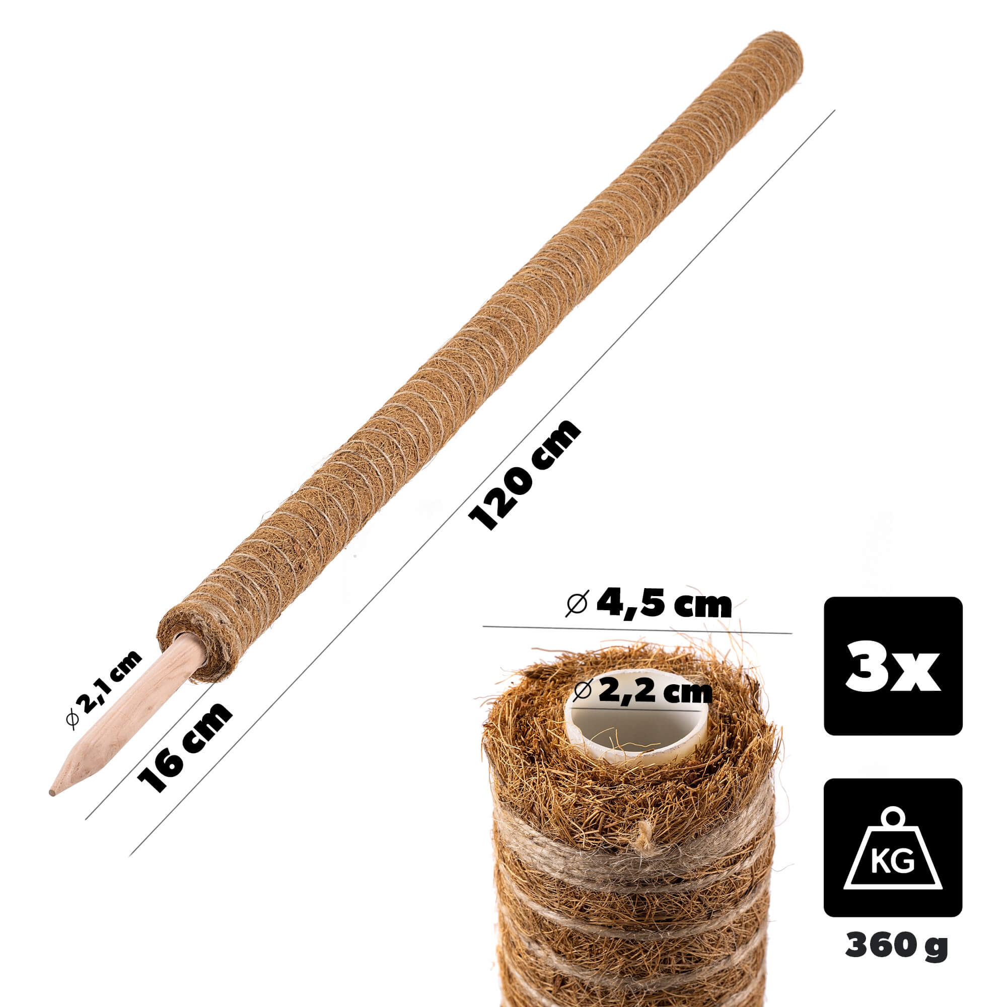 Tyczka do roślin kokosowa Cande 120 cm podpora doniczkowa 3 szt.