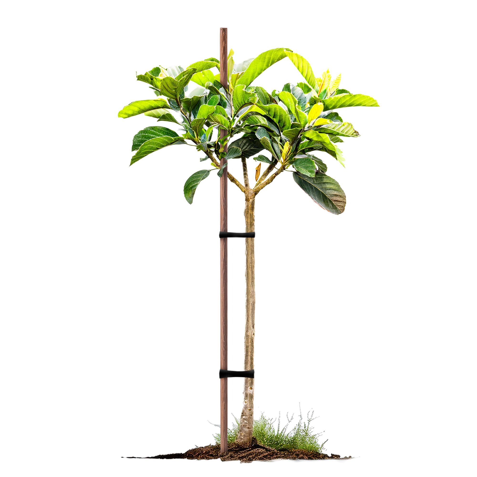 Podpora do roślin drewniana Utre palik impregnowany 23 mm x 150 cm 20 szt.