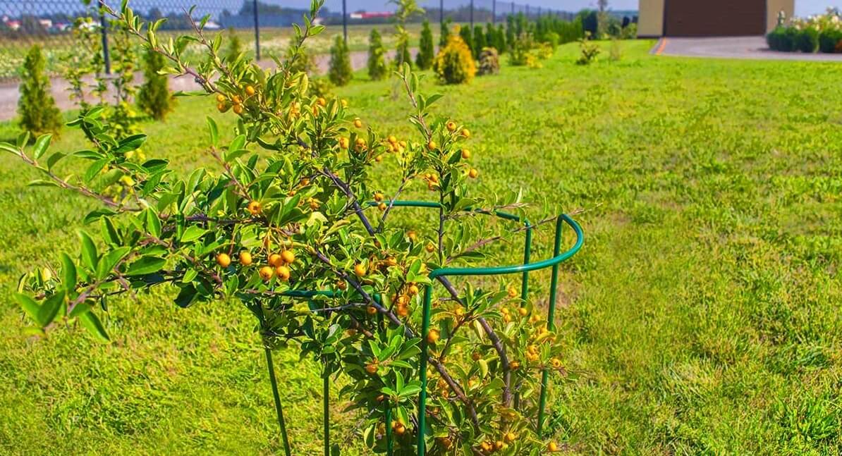 Podpora do roślin 90 + 115 cm 2 szt.