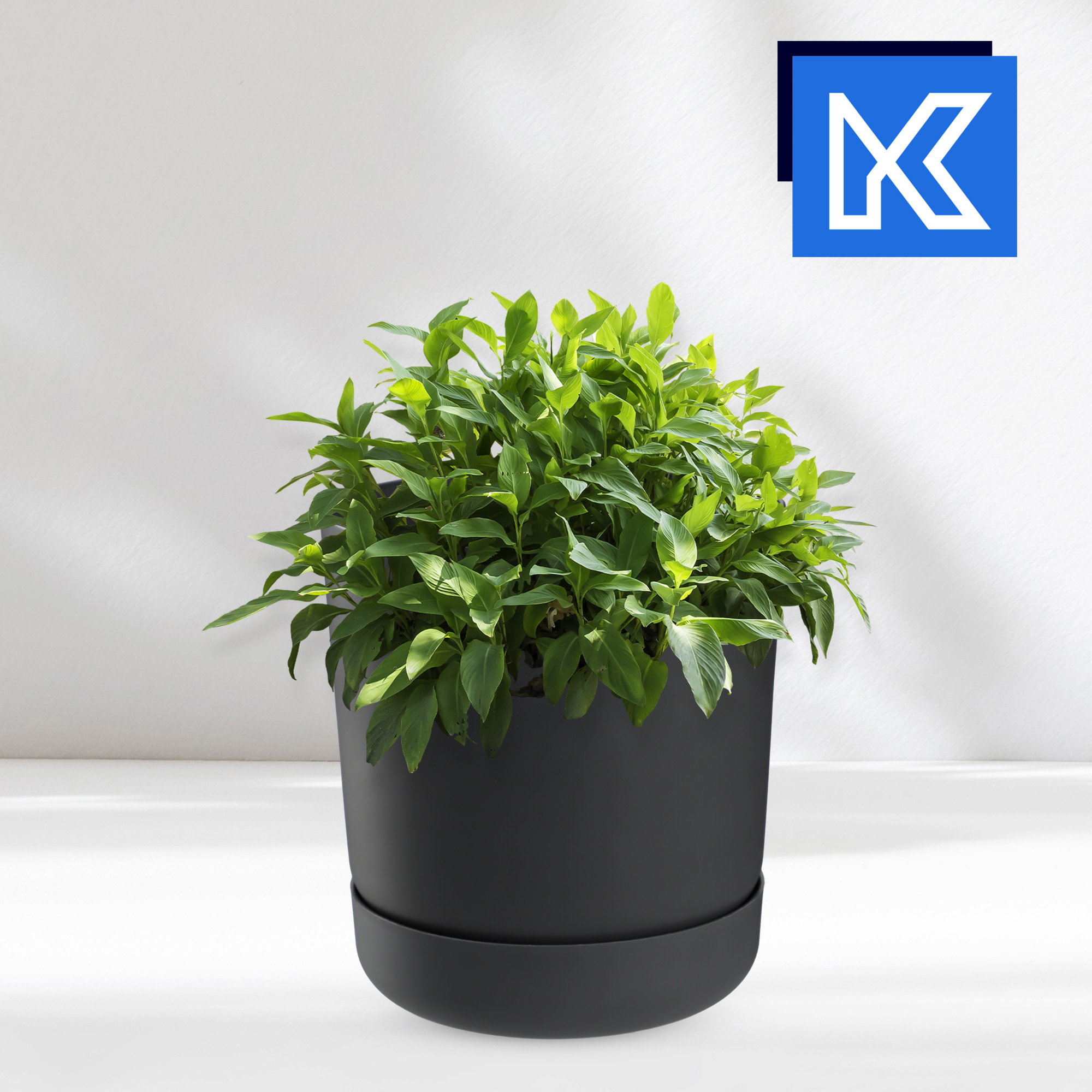 Doniczka Kama z podstawką 13 cm, antracyt