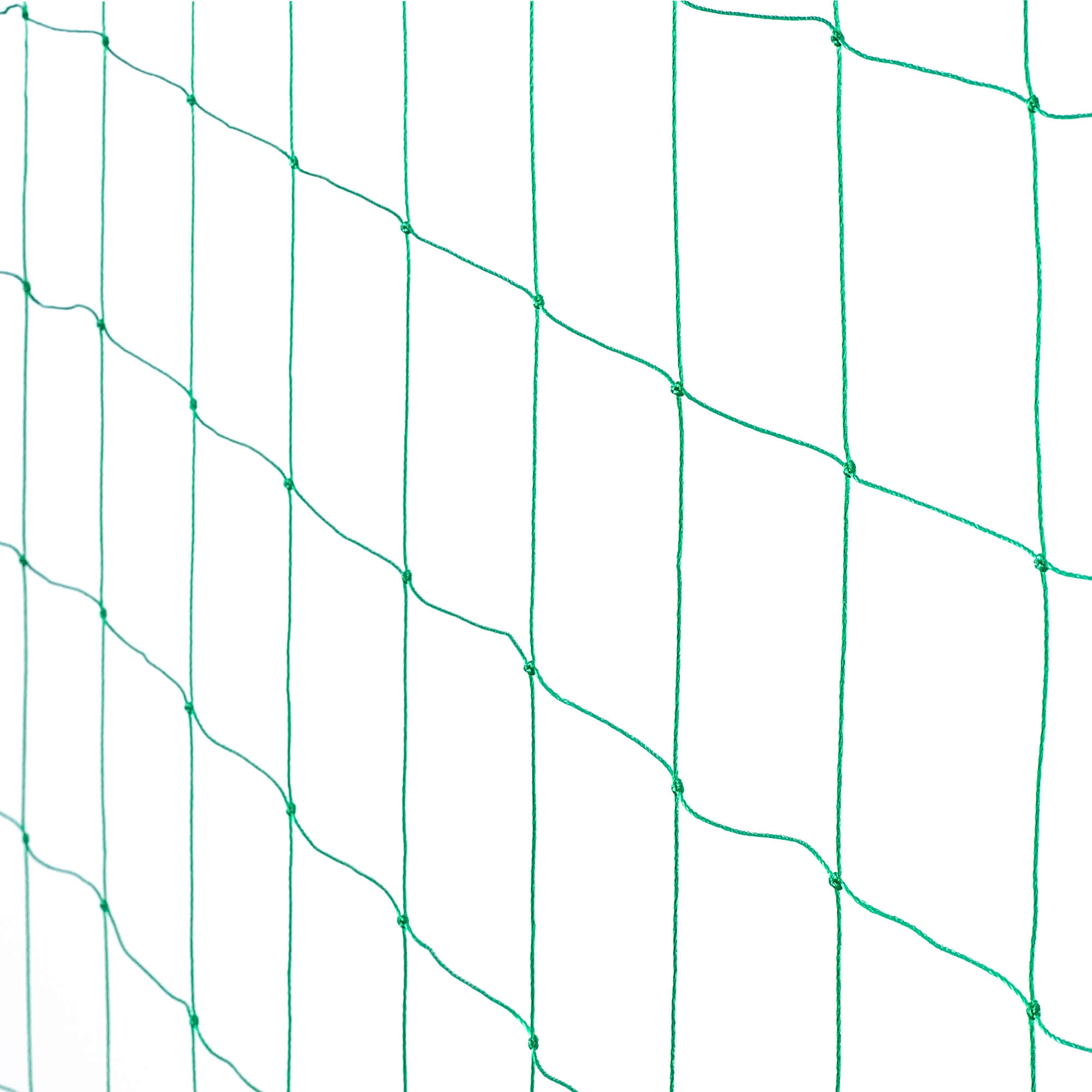 Siatka ogrodowa do roślin pnących Loudun 1.8 x 1.8 m zielona