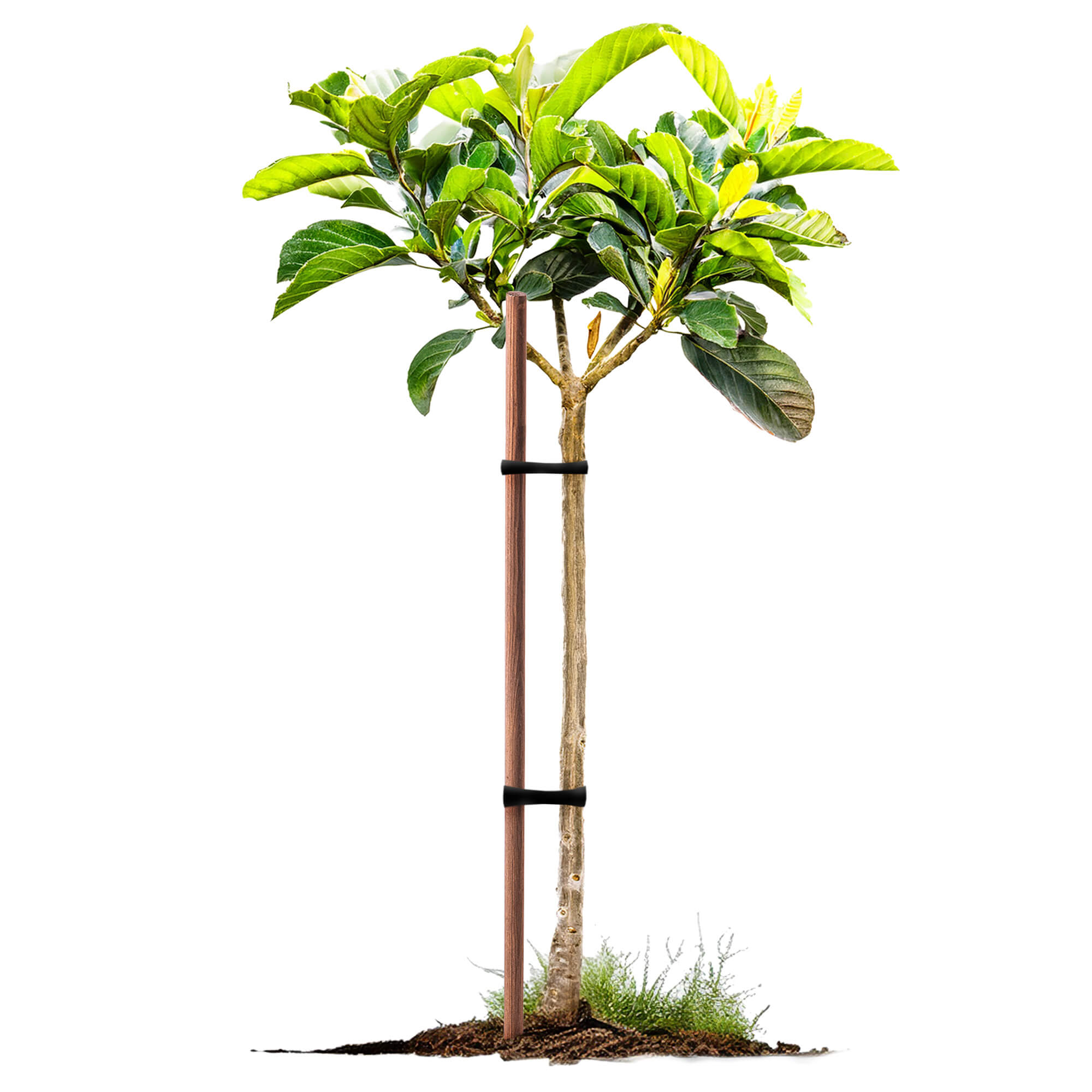 Podpora do roślin drewniana Utre palik impregnowany 23 mm x 100 cm 10 szt.