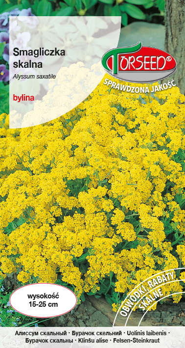 Smagliczka skalna - Alyssum saxatile żółta 0,5g