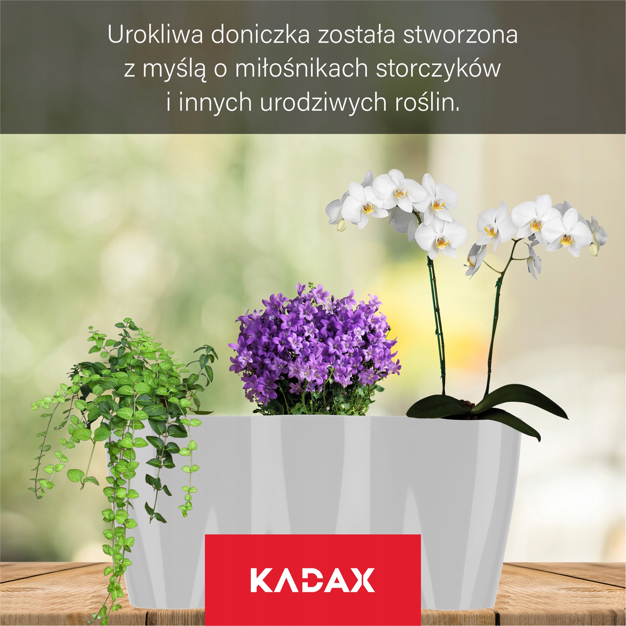 Doniczka do storczyków Fermo 15 x 35 cm, szara