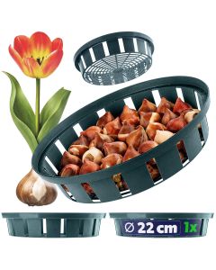 Koszyk do cebulek Julis 22 cm, zielony